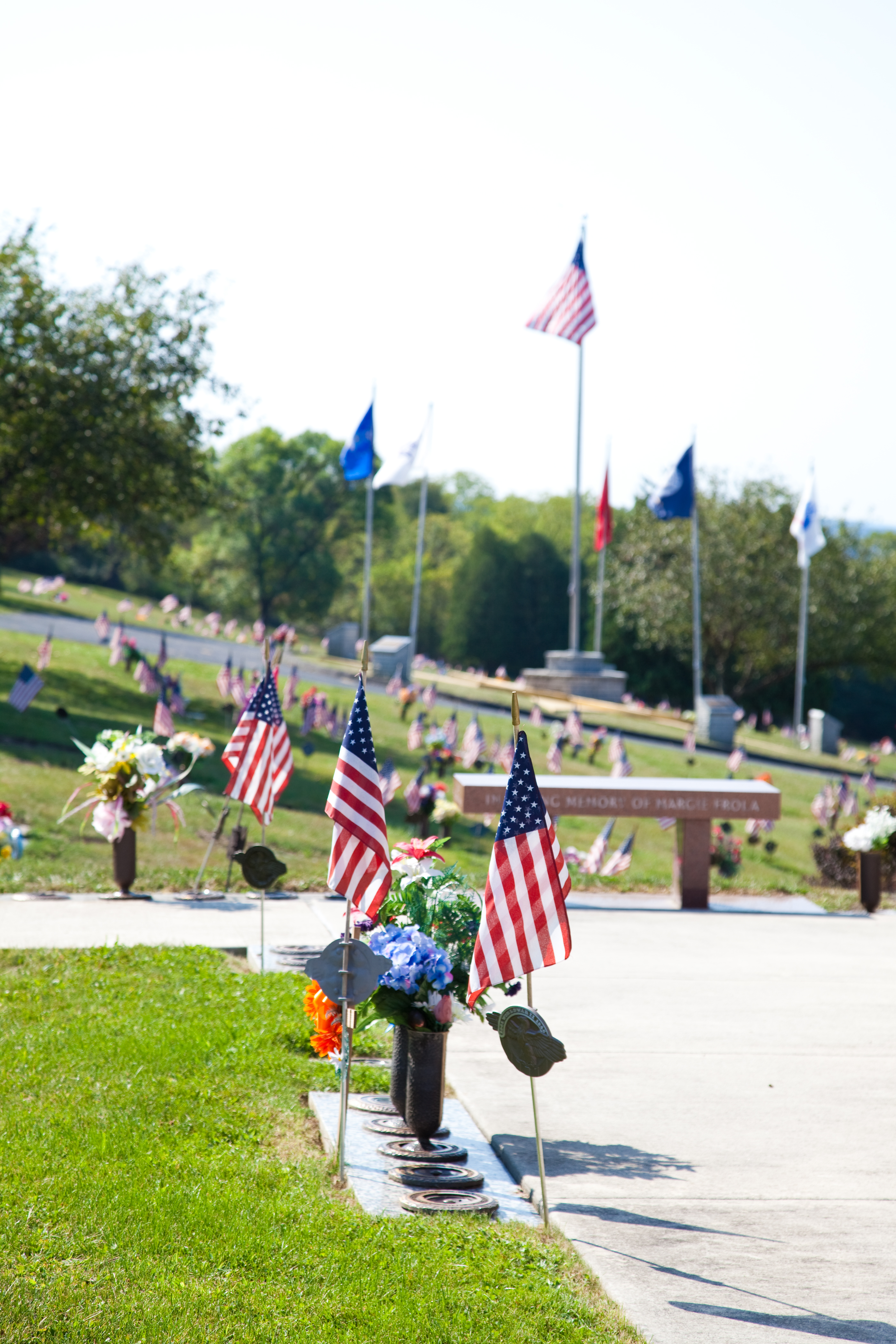 Veterans cemetery section with American flags honoring military service members